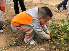 -前小桔亲子创意农场·草莓采摘·露营烧烤