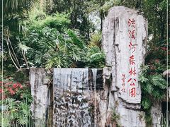 -广州市流溪河国家森林公园