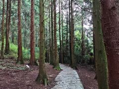 -山王坪喀斯特国家生态公园