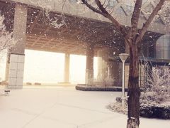 -九寸钉自助·炭火烤肉烧烤(欧乐时尚广场店)