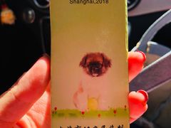 -申普宠物医院·眼科·心内科·影像科(普陀分院)
