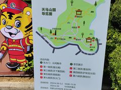 -上海佘山国家森林公园天马山园