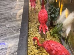 -华夏良子·足道SPA艾灸(胜利路店)