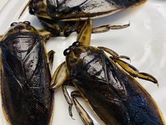 -莫华(锦绣趣园北街店)