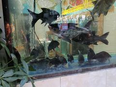 -大欢喜饭店(江怡路店)