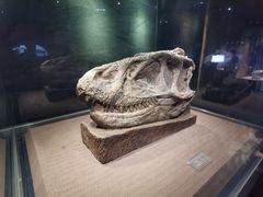 -自贡恐龙博物馆