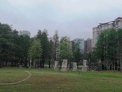 -四海公园(南山区)
