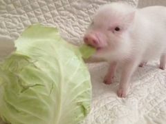 -做了不起的80后