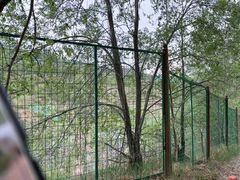 -青藏高原野生动物园