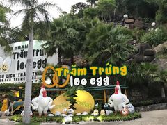 -100蛋泥浆浴
