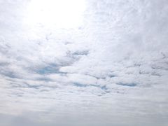 -金鸡品客(上海路店)