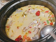 -周渝食惦酸菜鱼(青浦店)