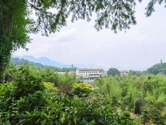 -溪口-滕头旅游景区