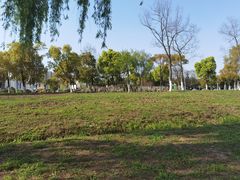 -合肥滨湖国家森林公园