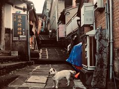 -迎懿餐厅