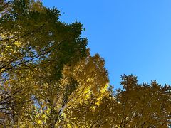 -三里屯太古里