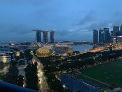 -新加坡瑞士史丹福酒店