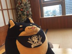 -豆柴町-柴犬主题狗咖(红鼎国际C座店)