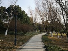 -长广溪湿地公园
