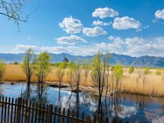 -野鸭湖国家湿地公园