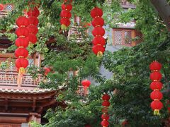 -越秀西湖花市(广州城市广场花卉店)