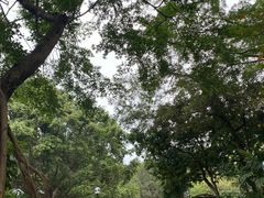-九龙公园