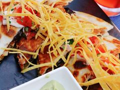 墨西哥鸡肉芝士饼-Famous肥猫墨西哥音乐餐吧(五棵松华熙LIVE店)