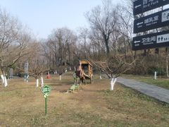 -南京老山国家森林公园