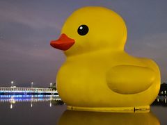 -深圳人才公园