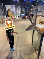 -酷嗒动物文化乐园(cutezoo西溪乐天城店)