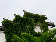 -鸣鹤古镇