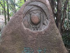 -呀诺达热带雨林