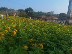 -广州莲花山旅游区
