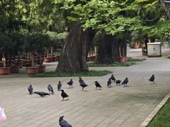 -北京市劳动人民文化宫(太庙)