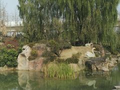 -秀丽东方