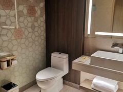 -深圳光明希尔顿花园酒店