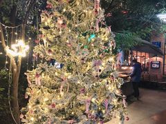 -宝莱纳啤酒花园餐厅PAULANER BRAUHAUS Nanjing(广州路店)