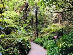 -怀托摩萤火虫洞