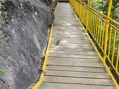 -朱雀国家森林公园