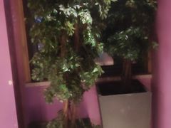 -季季红火锅(动壹店)