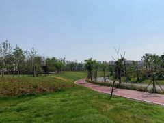 -九龙湖公园