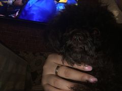 -赢吧Bliss音乐酒吧