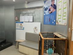 -爱侣宠医·鹦鹉专科·小型哺乳类·异宠专科(灵石路店)