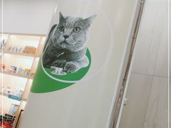 -佩兹宠物医院肿瘤专科·眼科·牙科(黄浦店)