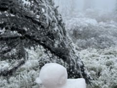 -瓦屋山景区
