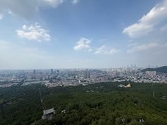 -鲁南仔·滕州炒鸡(经三路店)