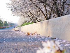 -永安水煮活鱼·仪征菜(仪征奥林匹克店)