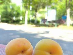 -幕燕滨江·长江观音景区