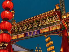 -盐城丹顶鹤湿地生态旅游区