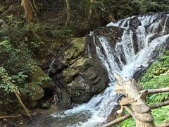 -莫里热带雨林景区